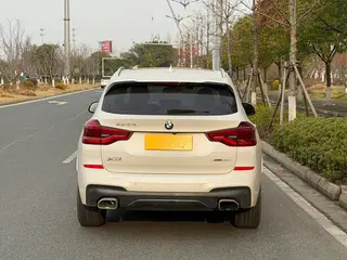 BMW X3 2018 xDrive30i Leading Type M Sports suit Country VI interior photo 10