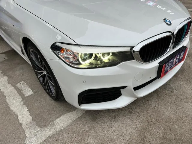 BMW 5 Series 2019 530Li Leading Type M Sports suit exterior photo 2