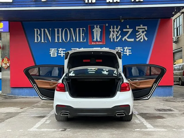 BMW 5 Series 2019 530Li Leading Type M Sports suit exterior photo 10