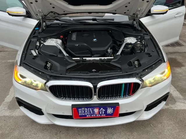 BMW 5 Series 2019 530Li Leading Type M Sports suit interior photo 12