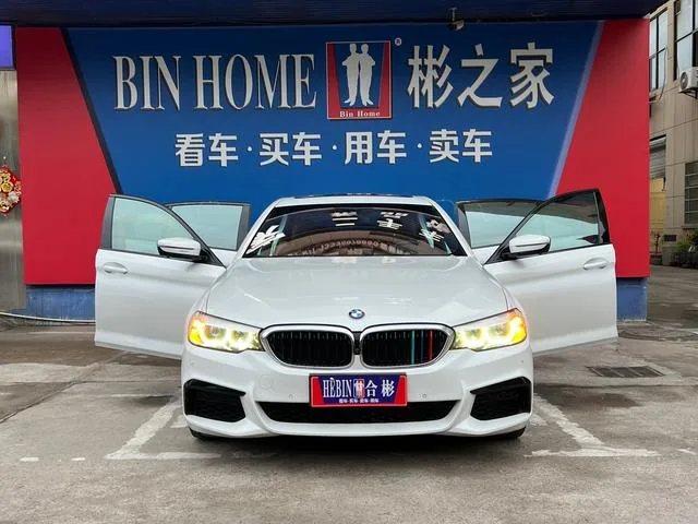 BMW 5 Series 2019 530Li Leading Type M Sports suit interior photo 15