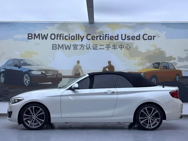 BMW 2 Series 2019 225i Convertible Coupe Sports Design Suit exterior photo 3