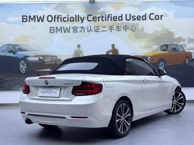 BMW 2 Series 2019 225i Convertible Coupe Sports Design Suit exterior photo 4