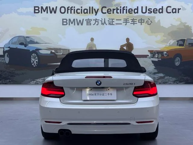 BMW 2 Series 2019 225i Convertible Coupe Sports Design Suit exterior photo 5