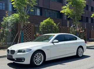 BMW 5 Series 2014 525Li Роскошный дизайнерский набор