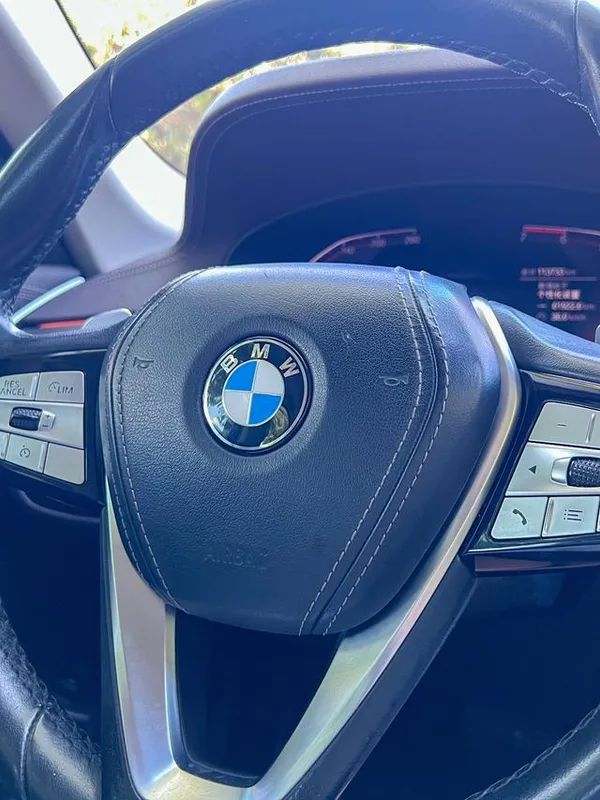 BMW 5 Series 2020 530Li Líder Traje de lujo interior foto 10