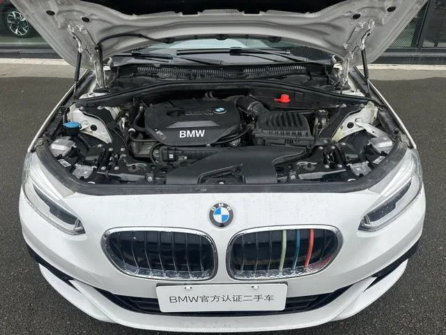 BMW 1 Series 2018 118i Sporty interior photo 10