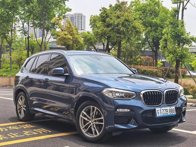 BMW X3 2019 xDrive25i M Sports suit exterior photo 3