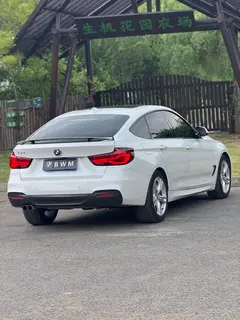 BMW 3 Series GT 2019 320i M Sports suit interior photo 10