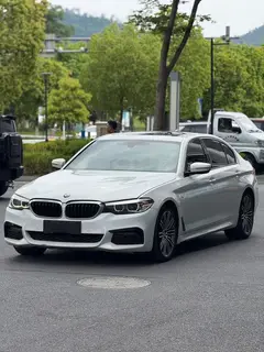 BMW 5 Series 2019 530Li xDrive M Conjunto deportivo