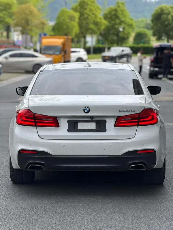 BMW 5 Series 2019 530Li xDrive M Sports suit interior photo 10 BMW 5 Series 2019 530Li xDrive M Sports suit interior photo 10
