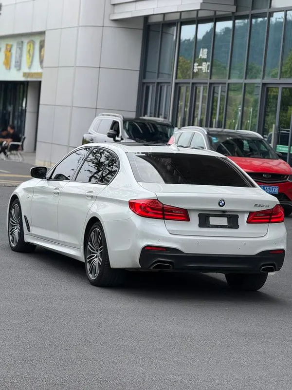 BMW 5 Series 2019 530Li xDrive M Sports suit interior photo 11 BMW 5 Series 2019 530Li xDrive M Sports suit interior photo 11