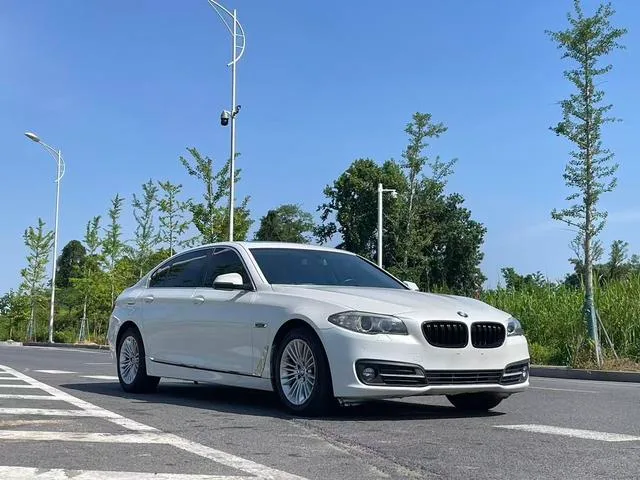 BMW 5 Series 2014 525Li Leading Type exterior photo 2