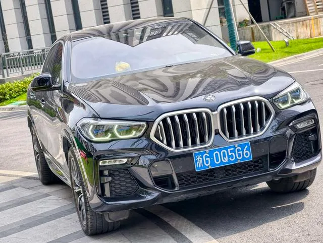 BMW X6 2020 xDrive40i M Conjunto deportivo exterior foto 7