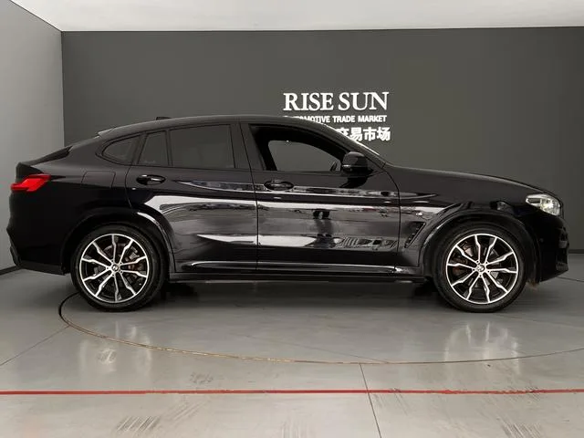 BMW X4 2020 xDrive25i M Off-road suit exterior photo 3