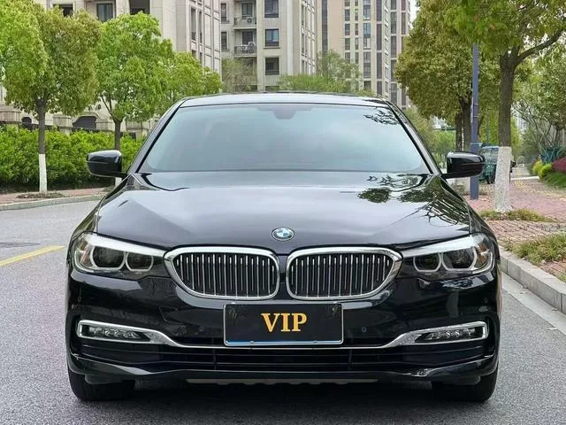 BMW 5 Series 2018 Restyling 530Li Leading Type Luxury Set exterior photo 2