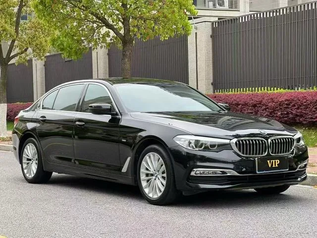 BMW 5 Series 2018 Restyling 530Li Leading Type Luxury Set exterior photo 3