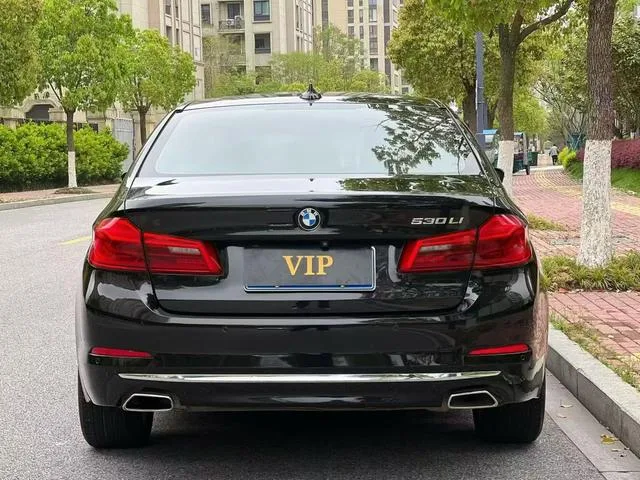 BMW 5 Series 2018 Restyling 530Li Leading Type Luxury Set exterior photo 5