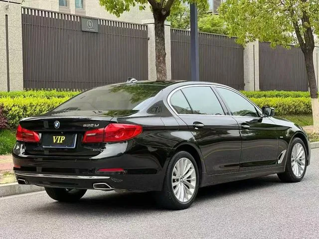 BMW 5 Series 2018 Restyling 530Li Leading Type Luxury Set interior photo 6