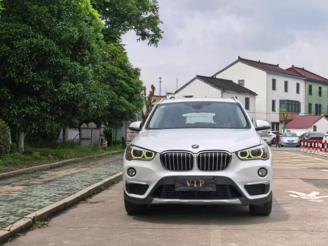 BMW X1 2018 xDrive20Li Luxury type exterior photo 2