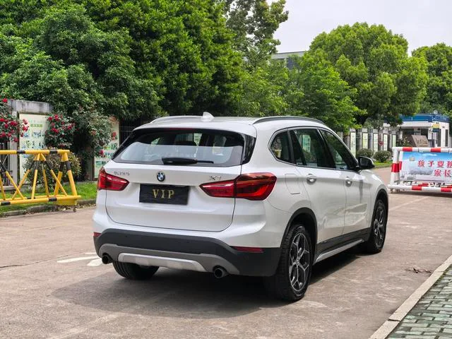 BMW X1 2018 xDrive20Li Luxury type exterior photo 4