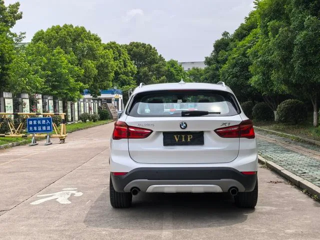 BMW X1 2018 xDrive20Li Luxury type exterior photo 5