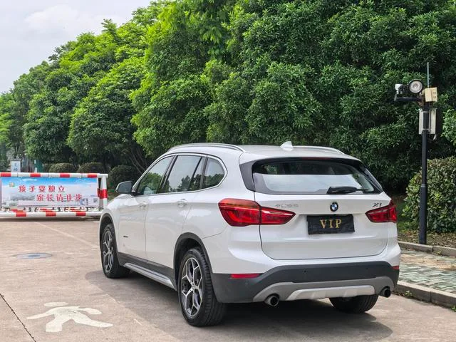 BMW X1 2018 xDrive20Li Luxury type exterior photo 6