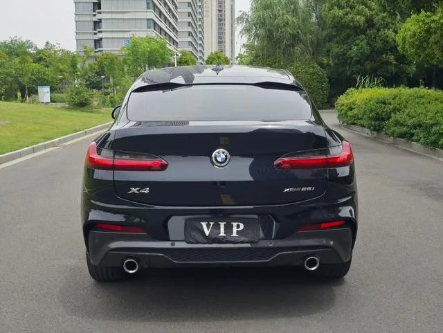 BMW X4 2020 xDrive25i M Sports suit exterior photo 5