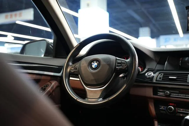 BMW 5 Series 2017 520Li Elegant style interior photo 18