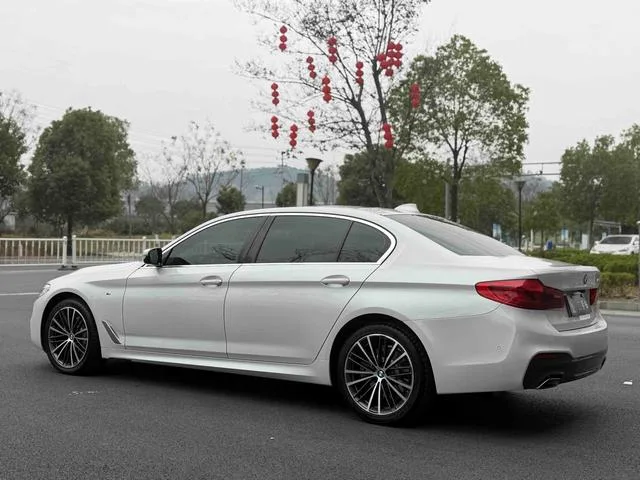 BMW 5 Series 2020 530Li Премиум-класса M Спортивный костюм экстерьер фото 4
