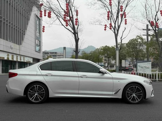 BMW 5 Series 2020 530Li Премиум-класса M Спортивный костюм экстерьер фото 9