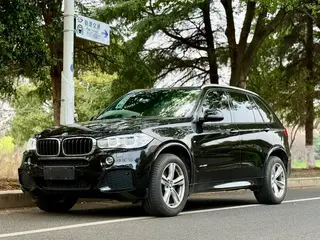 BMW X5 2017 xDrive35i Leading Type