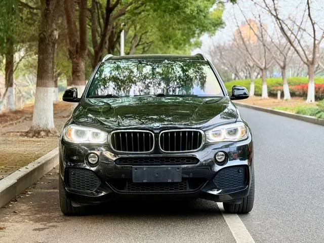 BMW X5 2017 xDrive35i Leading Type exterior photo 2