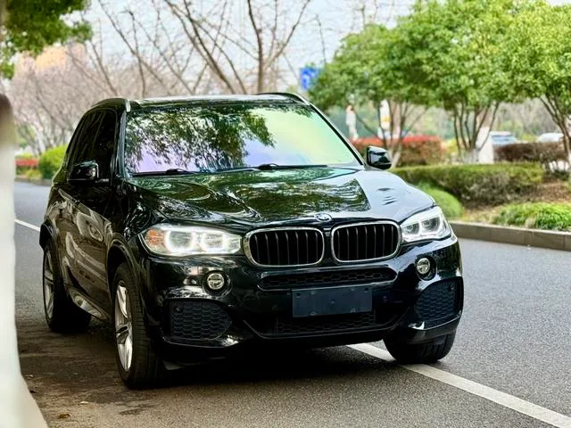 BMW X5 2017 xDrive35i Leading Type exterior photo 3