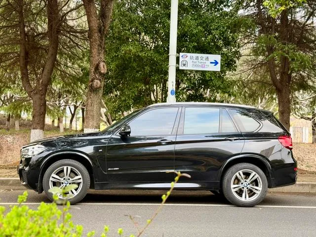 BMW X5 2017 xDrive35i Leading Type exterior photo 4