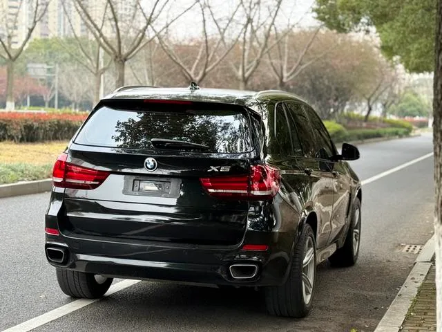 BMW X5 2017 xDrive35i Leading Type exterior photo 9