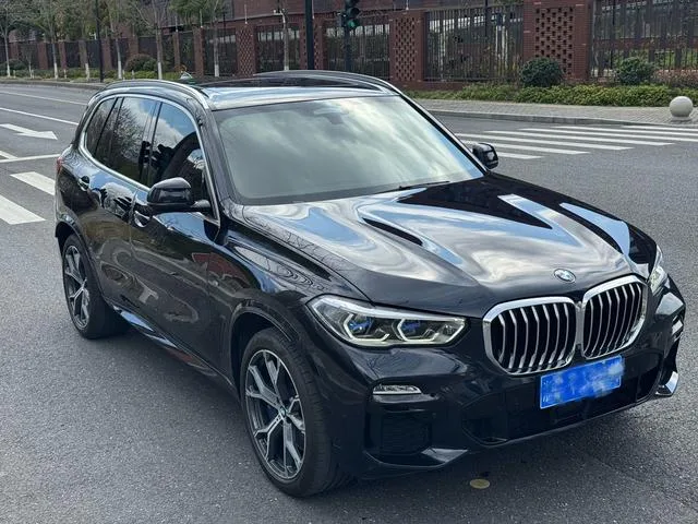 BMW X5 2019 xDrive40i Tipo de lujo M Conjunto deportivo interior foto 8