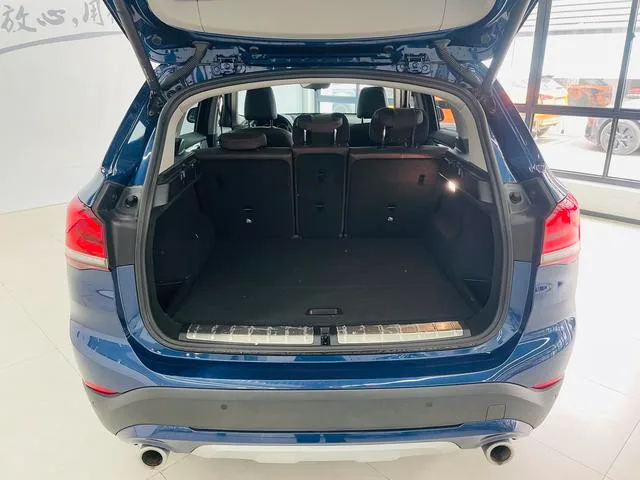 BMW X1 2021 xDrive25Li Tipo de lujo interior foto 15