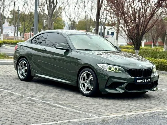 BMW 2 Series 2014 220i Leading Type exterior photo 3