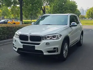 BMW X5 2014 xDrive35i Leading Type