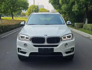 BMW X5 2014 xDrive35i Leading Type exterior photo 2
