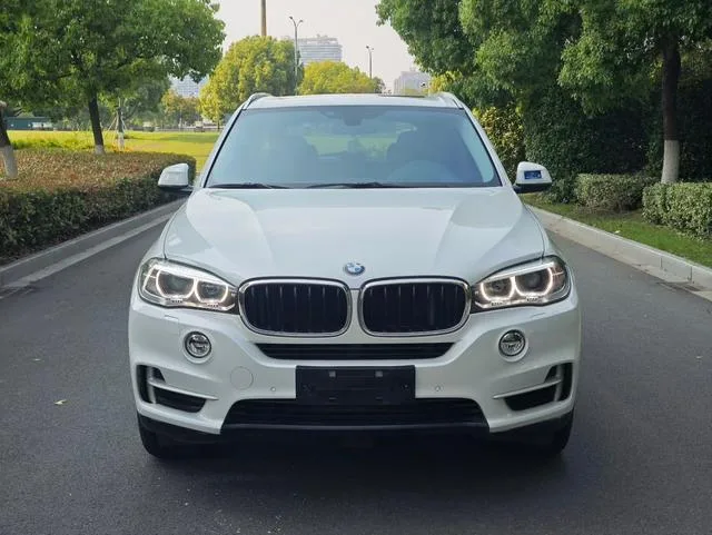 BMW X5 2014 xDrive35i Leading Type exterior photo 2