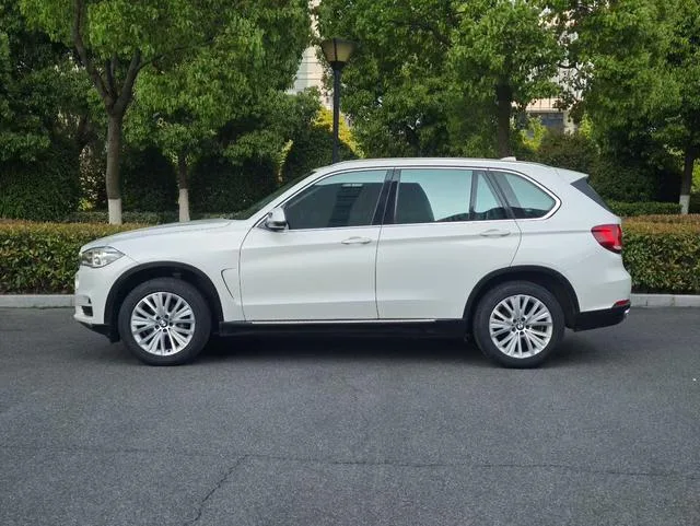 BMW X5 2014 xDrive35i Leading Type exterior photo 4