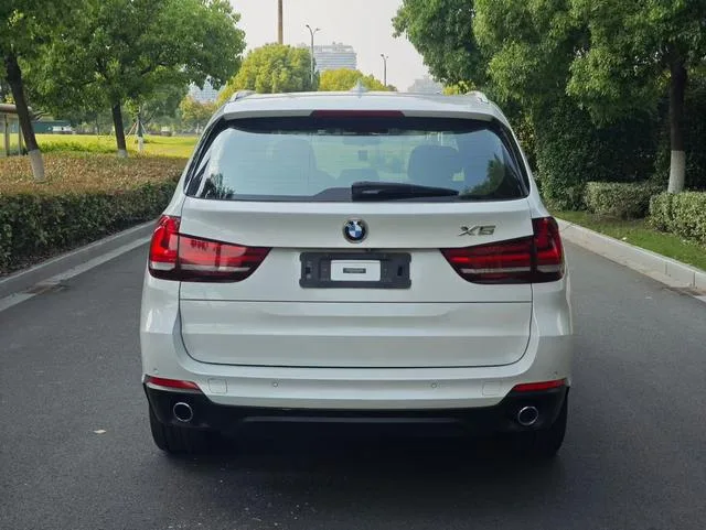BMW X5 2014 xDrive35i Leading Type exterior photo 5