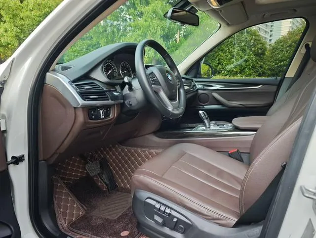 BMW X5 2014 xDrive35i Leading Type exterior photo 7