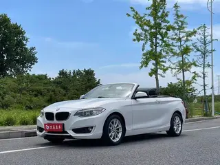 BMW 2 Series 2015 218i Convertible Coupe exterior photo 1