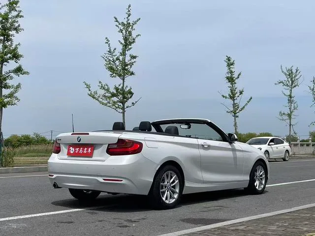 BMW 2 Series 2015 218i Convertible Coupe exterior photo 6