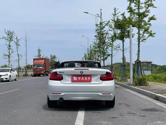 BMW 2 Series 2015 218i Convertible Coupe exterior photo 7
