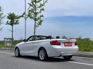 BMW 2 Series 2015 218i Convertible Coupe exterior photo 8