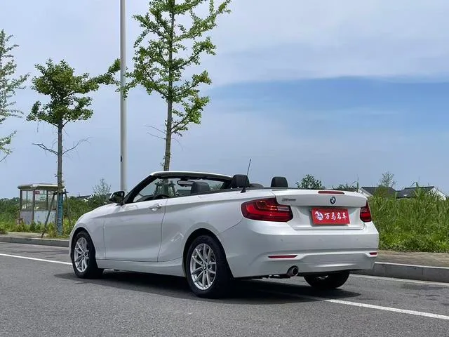 BMW 2 Series 2015 218i Convertible Coupe exterior photo 8